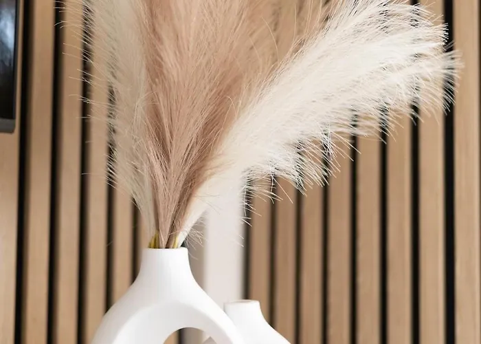 Apartment California Romantic With Balneo