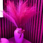 Appartement California Romantic With Balneo Cannes