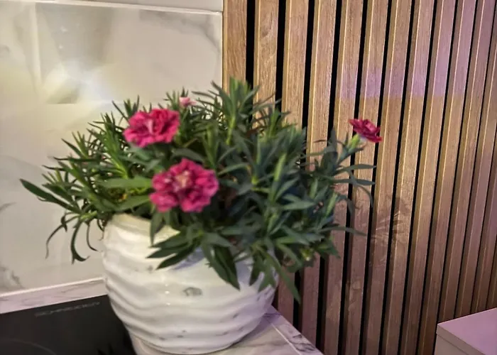 California Romantic With Balneo * كان