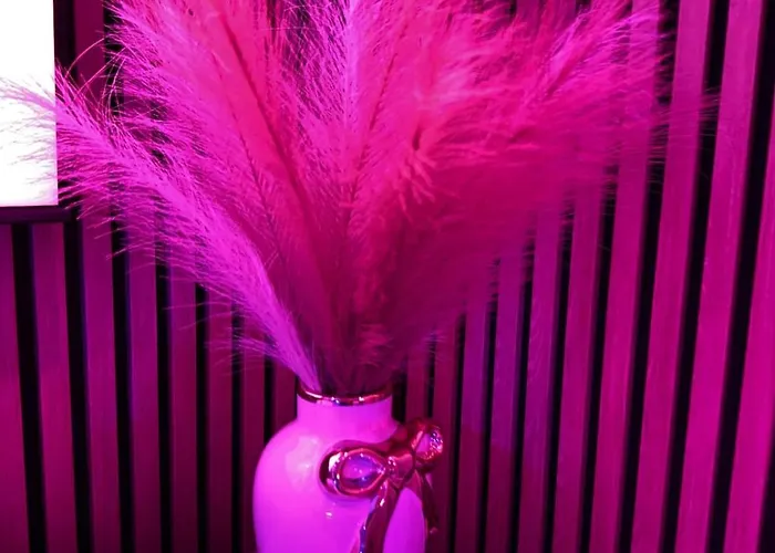 شقة California Romantic With Balneo كان